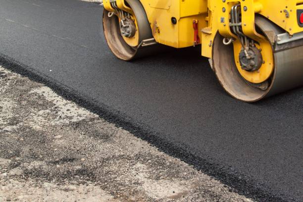 Best Residential Paver Driveway  in Round Lake Park, IL